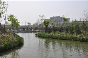 黄瓜影院免费看工业园